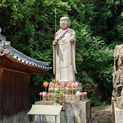 投稿日:2024年5月26日 写真