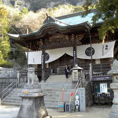 投稿日:2019年9月26日 写真