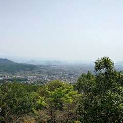 投稿日:2024年5月26日 写真