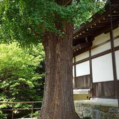 投稿日:2024年5月26日 写真