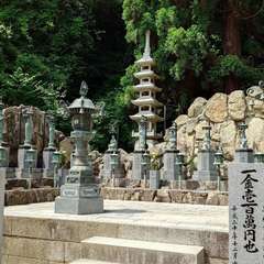 投稿日:2024年5月26日 写真