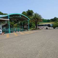 投稿日:2024年5月26日 写真