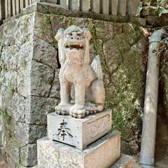 投稿日:2024年5月26日 写真