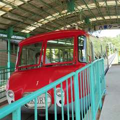 投稿日:2024年5月26日 写真