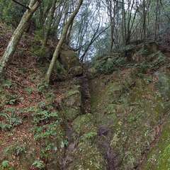 投稿日:2023年12月31日 写真