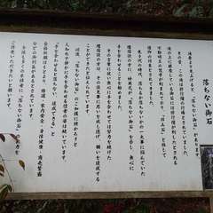 投稿日:2023年12月31日 写真