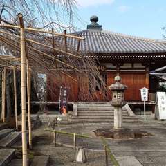 投稿日:2024年2月10日 写真