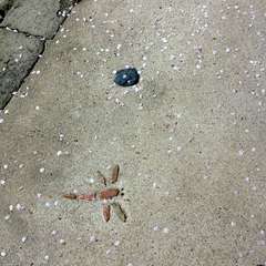 投稿日:2015年4月12日 写真