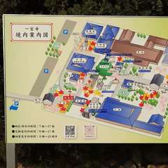 投稿日:2024年2月10日 写真