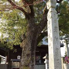 投稿日:2024年2月10日 写真