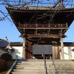 投稿日:2024年2月12日 写真