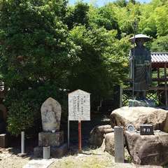 投稿日:2024年7月7日 写真