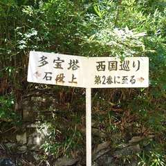 投稿日:2024年7月7日 写真