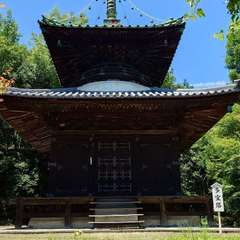 投稿日:2024年7月7日 写真