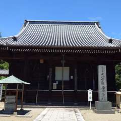 投稿日:2024年7月7日 写真