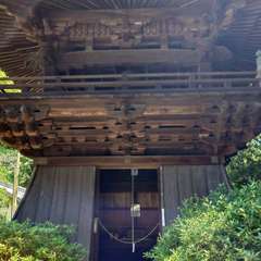 投稿日:2024年7月7日 写真