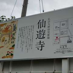 投稿日:2024年6月30日 写真