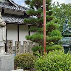 投稿日:2024年7月9日 写真