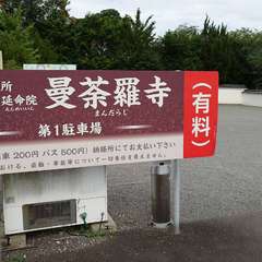 投稿日:2024年7月9日 写真