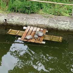 投稿日:2024年7月9日 写真