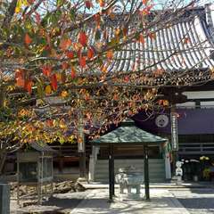 投稿日:2015年11月14日 写真