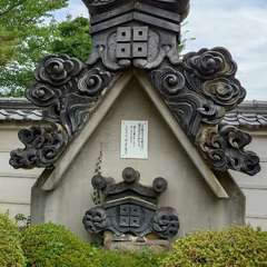 投稿日:2024年7月9日 写真