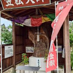 投稿日:2024年7月9日 写真