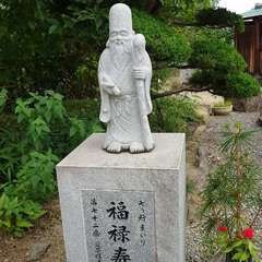 投稿日:2024年7月9日 写真