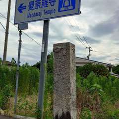 投稿日:2024年7月9日 写真