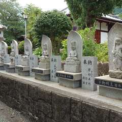 投稿日:2024年7月9日 写真