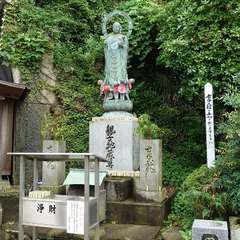 投稿日:2024年6月30日 写真