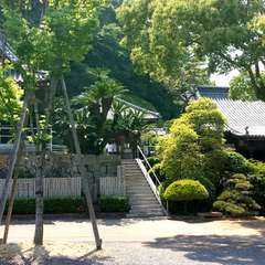 投稿日:2015年5月24日 写真