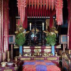 投稿日:2024年6月30日 写真