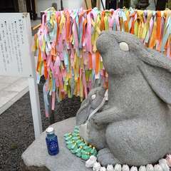 投稿日:2024年6月30日 写真