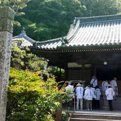 投稿日:2015年5月24日 写真