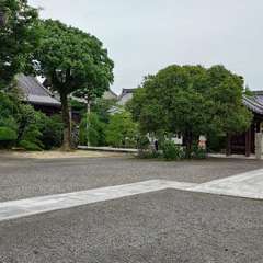 投稿日:2024年6月30日 写真