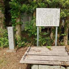 投稿日:2024年6月1日 写真