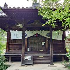 投稿日:2024年6月1日 写真