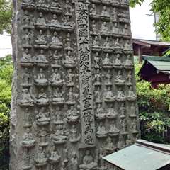 投稿日:2024年6月1日 写真