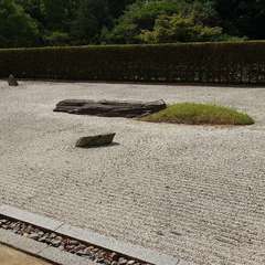 投稿日:2024年6月1日 写真