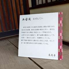 投稿日:2024年6月1日 写真