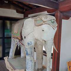 投稿日:2024年6月1日 写真