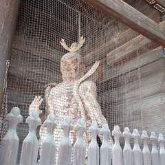 投稿日:2024年6月1日 写真