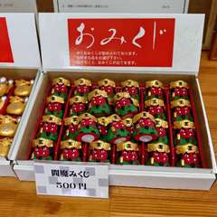 投稿日:2024年6月1日 写真