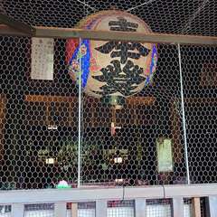 投稿日:2024年6月1日 写真