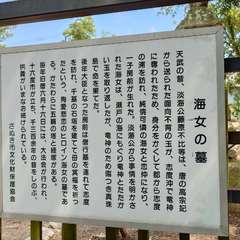 投稿日:2024年6月1日 写真