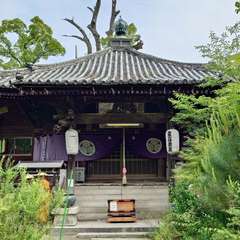 投稿日:2024年6月1日 写真