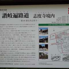 投稿日:2024年6月1日 写真