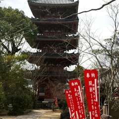 投稿日:2015年3月28日 写真