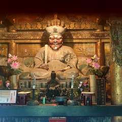 投稿日:2024年6月1日 写真